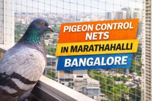 pigeon control nets in Marathahalli Bangalore