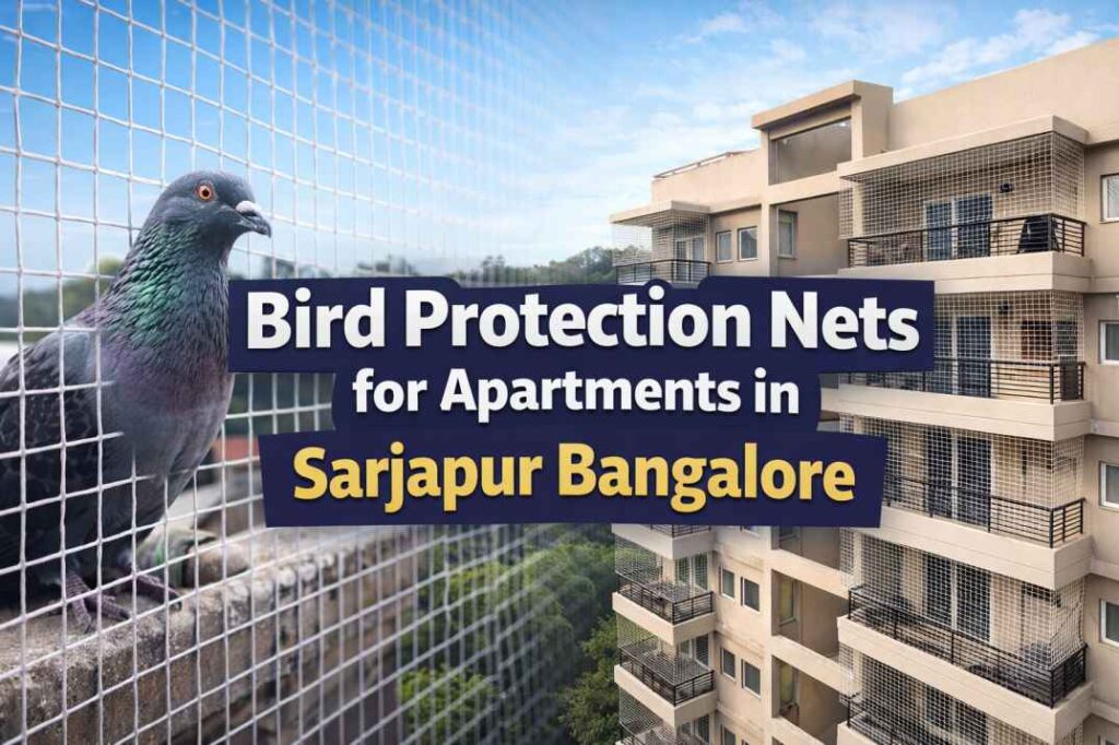 bird protection nets in Sarjapur Bangalore
