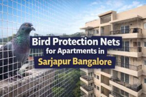 bird protection nets in Sarjapur Bangalore