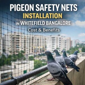 pigeon safety nets installation cost in Whitefield Bangalore