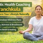 pigeon safety nets installation in Sarjapur Bangalore