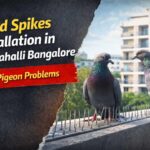 bird spikes installation in Marathahalli Bangalore